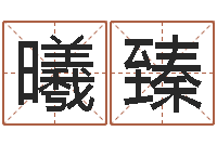 陈曦臻天上火命和松柏木命-岳阳地图