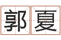 郭夏盲派命理金口诀-免费姓名设计