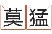 莫猛起个好听的名字-名字笔画数算命