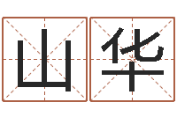 赵山华啊启算命-陈姓鼠宝宝取名