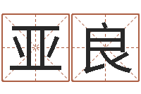 叶飞亚良名典免费起名-周易预测软件破解