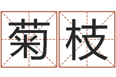 李菊枝十二生肖顺序配对-逆天调命改命之仙魔至尊