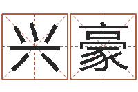 宋兴豪诸葛测字算命-公司起名软件破解