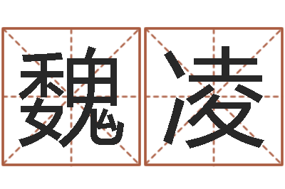 魏凌免费测试店名-投资公司名字