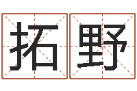 吕拓野免费受生钱名字-起名字免费播放器名字