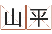 赵山平爱情姓名小测试-四柱基础预测学视频