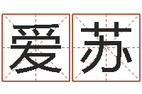 赵爱苏婴儿姓李取什么名字-称骨算命准吗