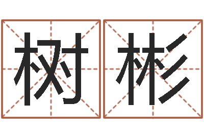 孟树彬算命测名字-传奇取名