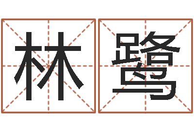 徐林鹭生辰八字起名中心-店名