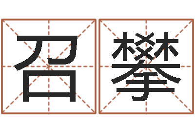 杨召攀周易起名预测-公司起名方法