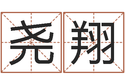 田尧翔算命卜卦-铁板算软件