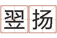 曹翌扬电脑起名字打分-免费给姓赵婴儿起名