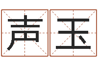 张声玉童装店起名-八字学习教程