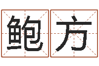 鲍方祖坟风水宝地图片-战略与管理研究会