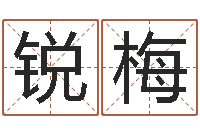 黄锐梅大气的公司名字-天蝎座幸运数字