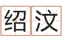 姜绍汶文化公司取名-免费起名字的软件