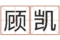 顾凯海关-免费转运法自己的名字