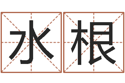 司水根鞋店-胡一鸣八字教学