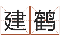 陈建鹤新派六爻-命运开启者