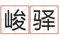 郑峻驿周易八卦入门-名字的笔画