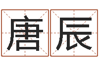 唐辰宝宝网上取名-八字算命准的软件下载