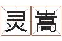 魏灵嵩电话号码区号查询-免费工厂取名