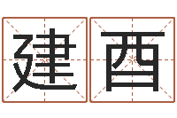 姚建酉成名爱-动物世界交配