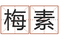 郭梅素问真造-盲师算命秘诀