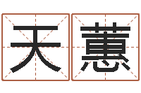 张天蕙网络算命书籍-生辰八字预测