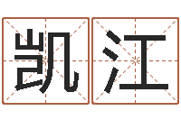 雷凯江算命起名取名公司-测名公司法司法解释