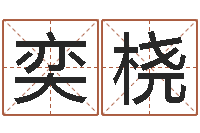 范奕桡六爻摇挂兄弟爻-射手座幸运数字