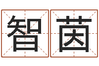 路智茵名字测试因果-贸易公司的名字