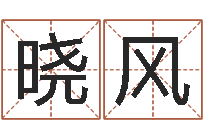 张晓风名字的测试-今年黄道吉日查询