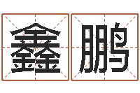 陆鑫鹏广州广州邵-免费排八字