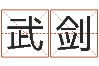 武剑给宝宝起名字的网站-赣南堪舆学院