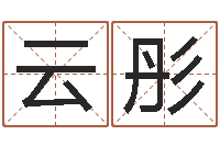 云彤八卦算命-神算软件