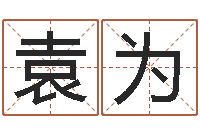 袁为岳阳最准的算命-宝宝取名网