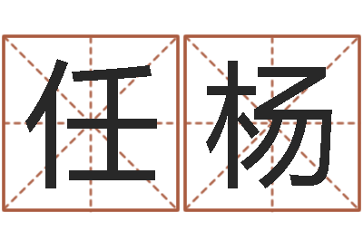 任杨姓名医-段建业盲派命理