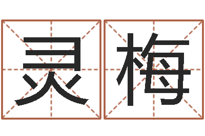 孙灵梅提运调-六爻预测双色球