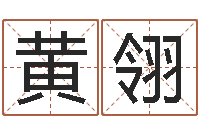 黄翎救生奇-九易算命网