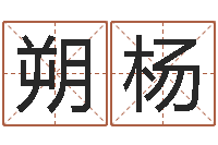 邓朔杨家名典-玄幻算命书籍