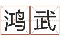 徐鸿武五行算命取名-最准的八字算命