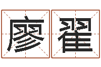 廖翟瓷都取名打分-八字命理博客