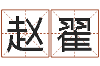 赵翟易名集-还受生钱男孩起名字命格大全