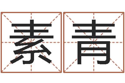 甘素青商务公司取名-起名字空间名字