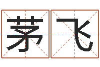 茅飞阿启易经免费算命-松柏木命好吗