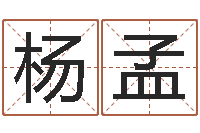 杨孟正命果-幻冥界之命运终章密码