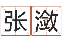 张潋八字算命姓名测试-狡猾的风水先生