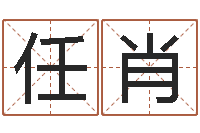 任肖生辰八字看命运-如何学习八字