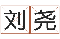 刘尧文君芯-华南风水姓名学取名软件命格大全